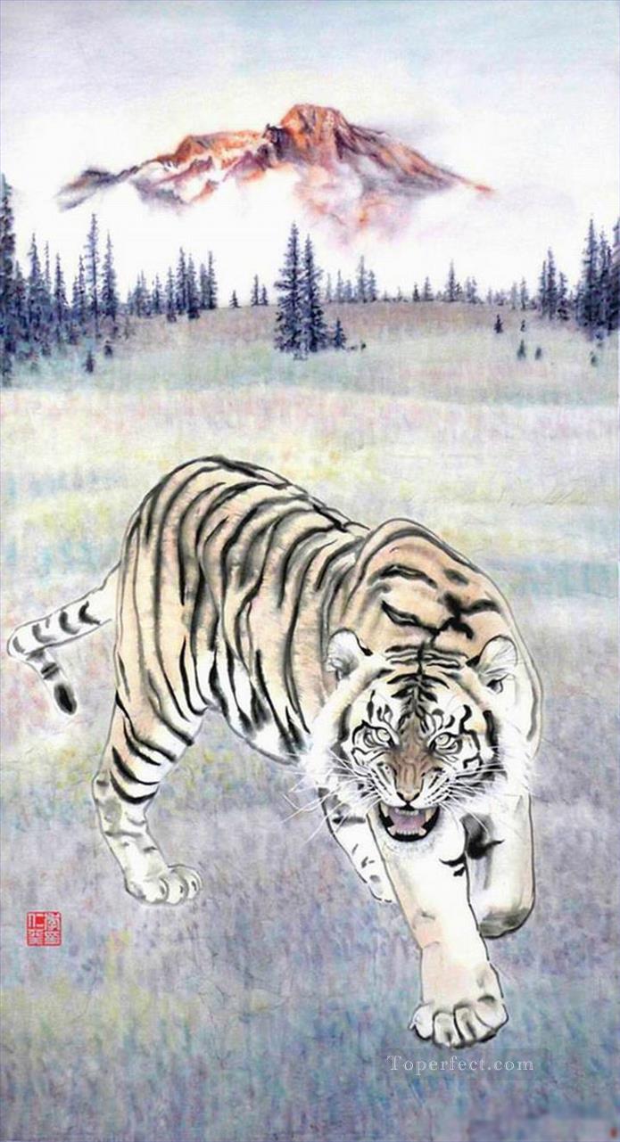 tigre 1 Peintures à l'huile